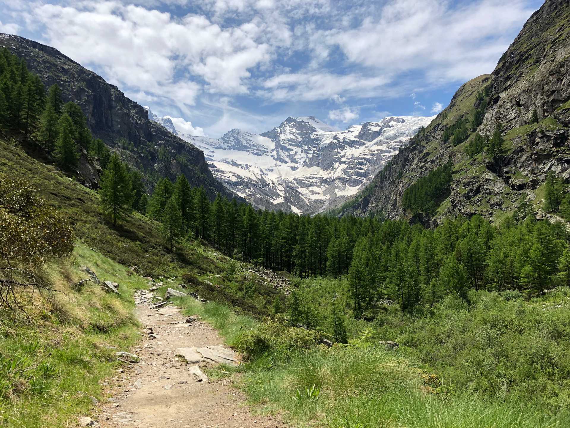 Randonnée dans le parc du Grand Paradis en Italie